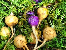 點(diǎn)擊查看詳細(xì)