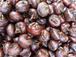 點(diǎn)擊查看詳細(xì)